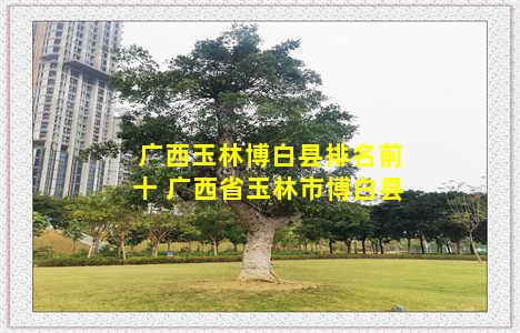 广西玉林博白县排名前十 广西省玉林市博白县